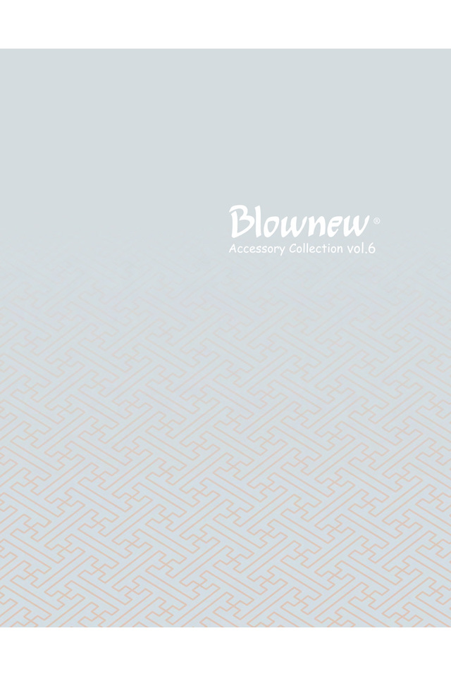 Blownew Accessory Collection Vol.6の画像